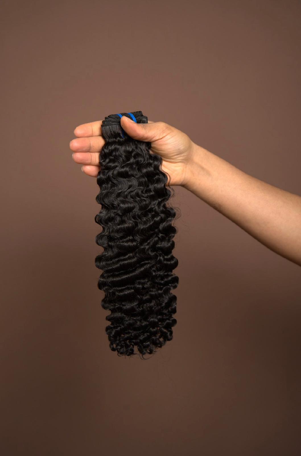 Burmese Curl